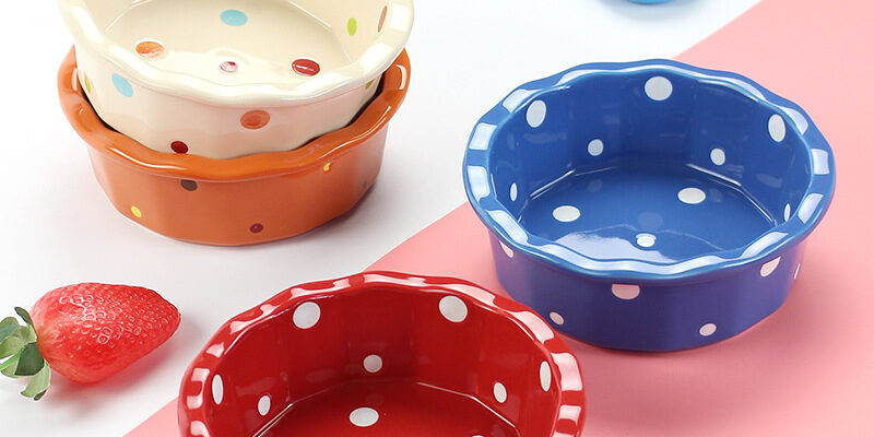 Colorful ceramic bowls for ramen, soup, and salad