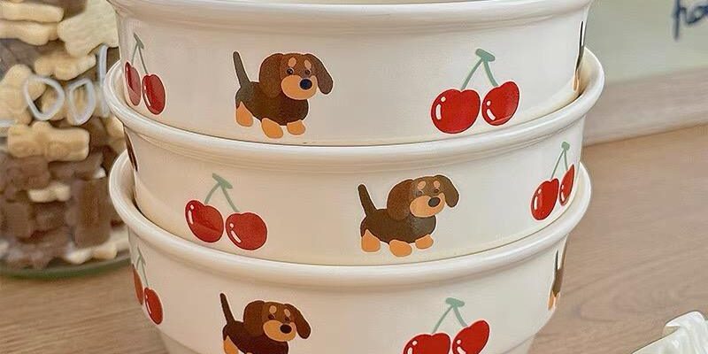 Wholesale personalized ceramic bowls with cute patterns