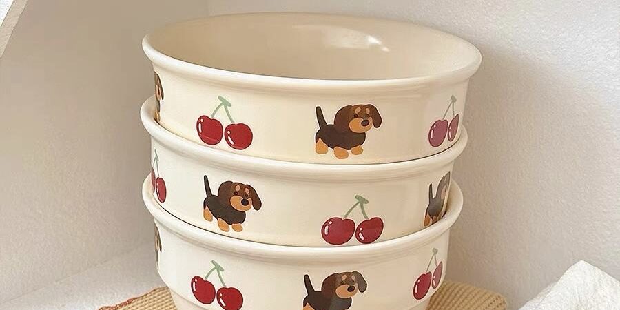 Wholesale personalized ceramic bowls with cute patterns